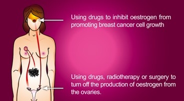 Public Photos / Files - Hormonal 2