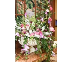 Self Photos / Files - 2