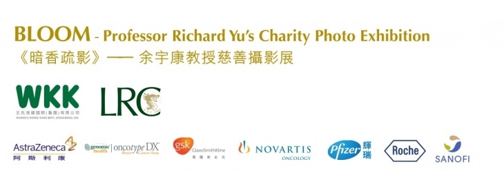 Self Photos / Files - image7